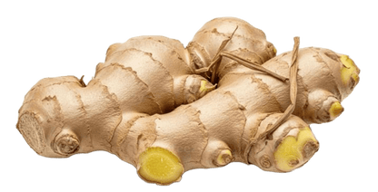 Moringa with Ginger TEA - LK Natural